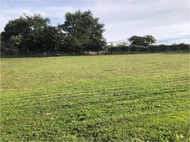 Terrain constructible - 1 446 m²