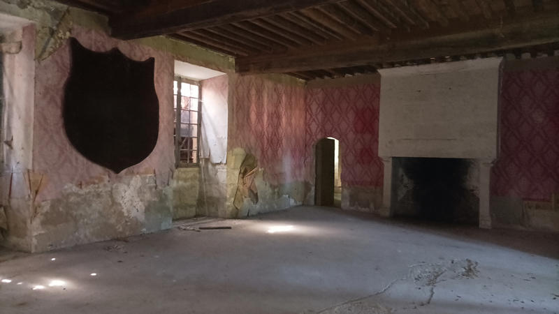 Château - 700 m² - 14 pièces