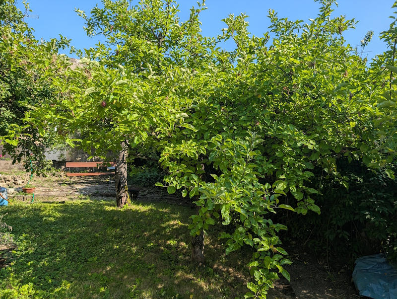 Maison - 220 m² - 9 pièces