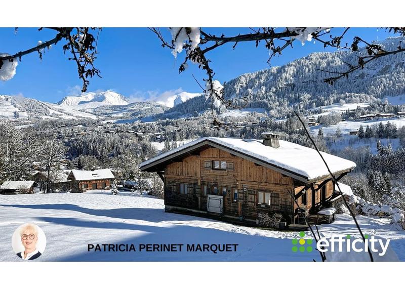 Châlet - 243 m² - 12 pièces