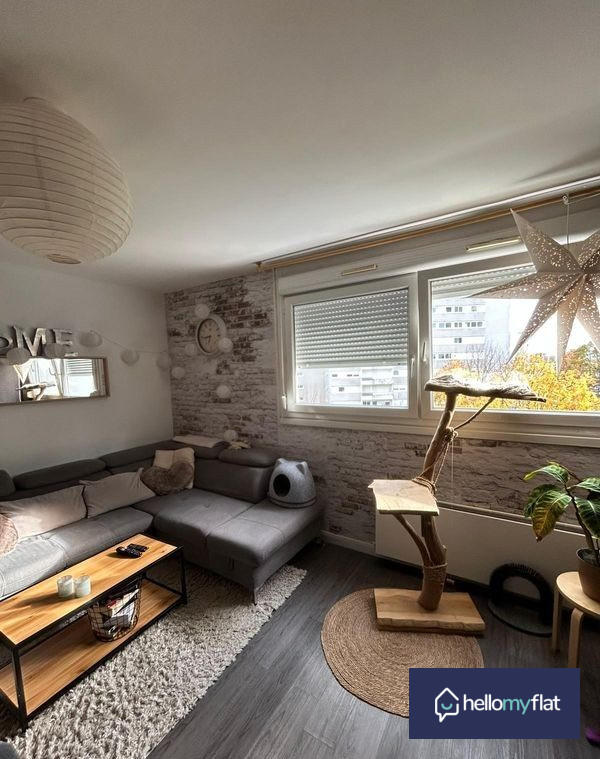 Appartement - 50 m² - 2 pièces