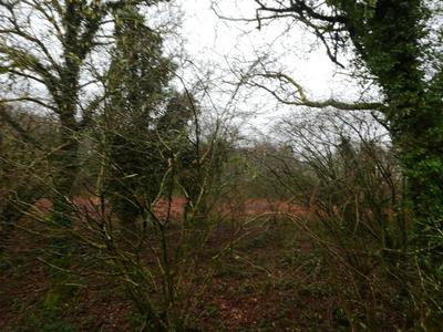 Terrain agricole - 13 922 m²