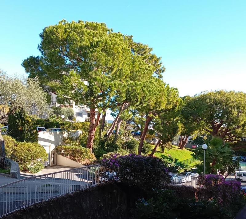 Appartement - 31 m² - 1 pièce