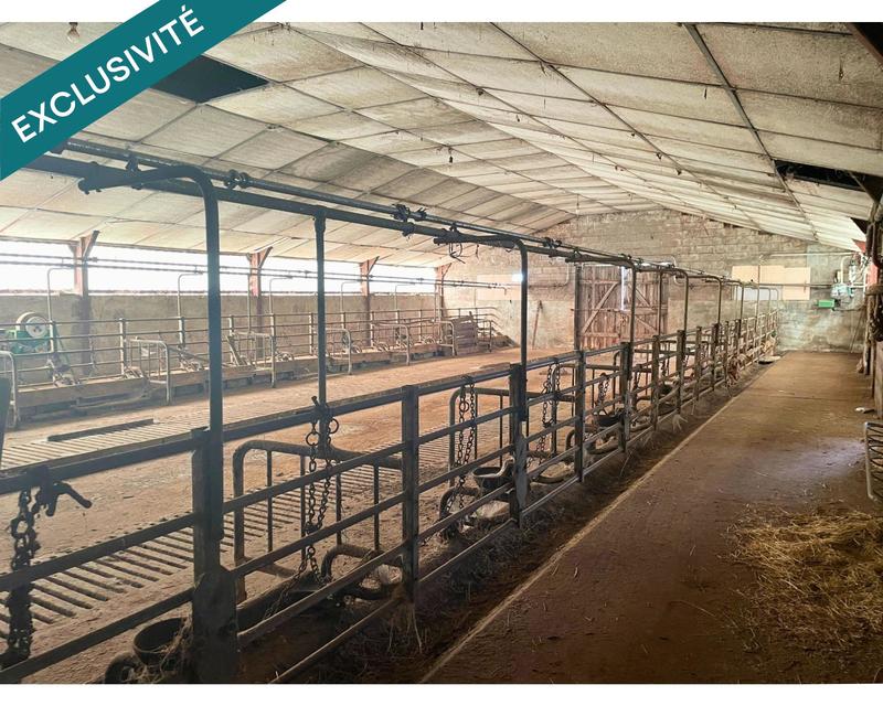 Local commercial - 593 m² - 1 pièce