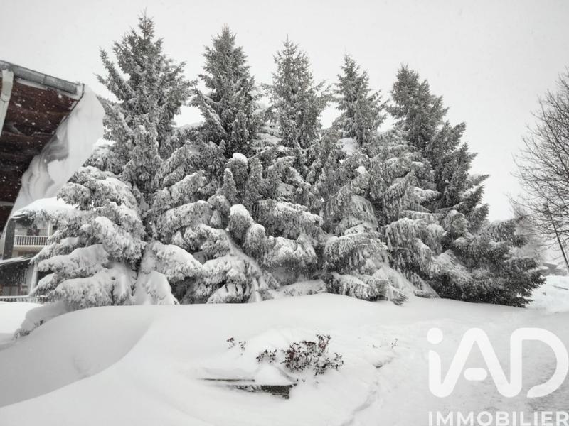 Appartement - 20 m² - 2 pièces