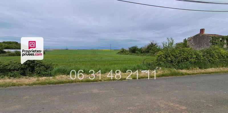 Terrain constructible - 3 243 m²