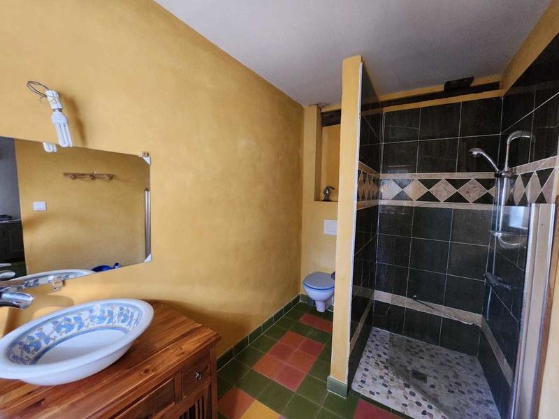 Maison en pierre - 254 m² - 10 pièces