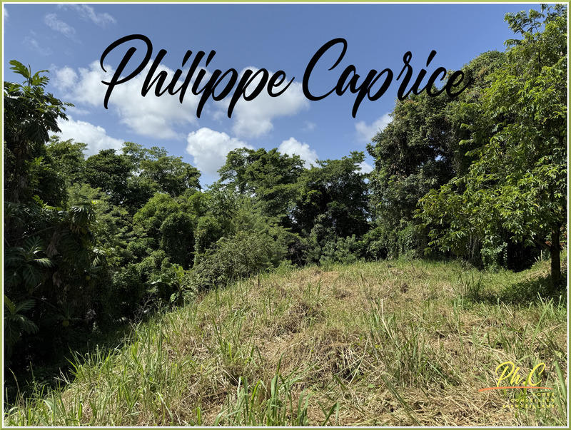 Terrain constructible - 1 015 m²