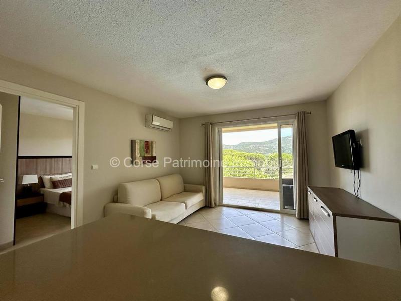 Appartement - 38 m² - 2 pièces