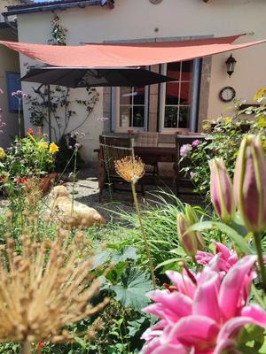 Maison chambre d'hôtes - 248 m² - 9 pièces