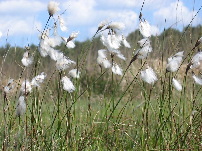 A la découverte du Pré Maudit