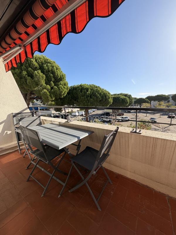 Studio - 24 m² - 1 pièce