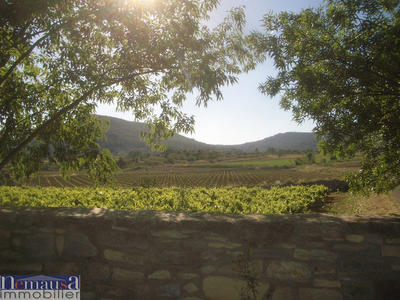 Mas - 1 360 m² - 30 pièces