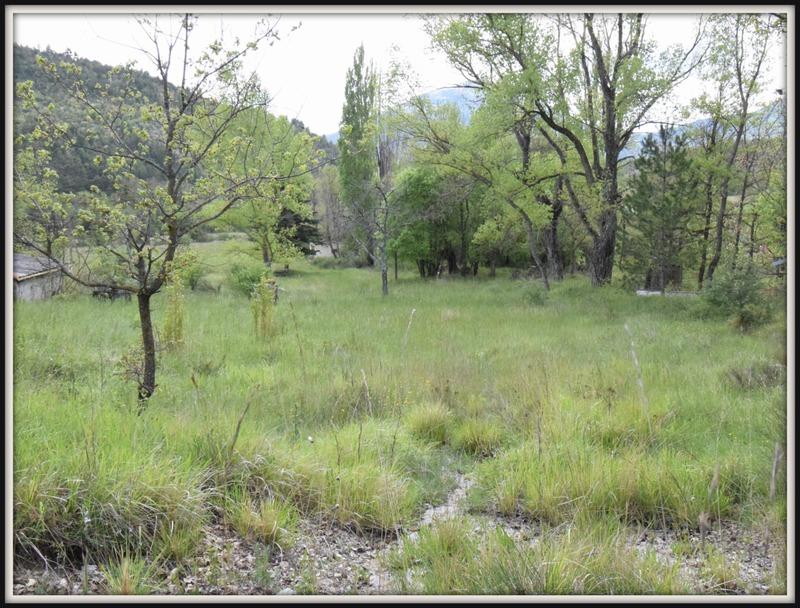 Mas - 80 m² - 3 pièces