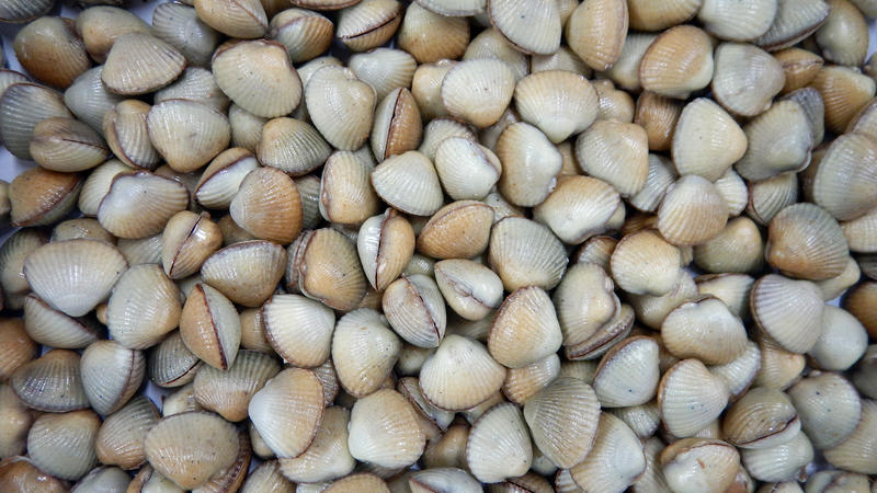 Les Coques de Cabourg