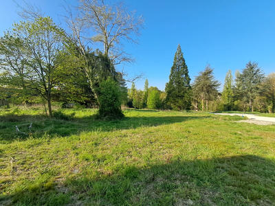 Terrain - 1 205 m²