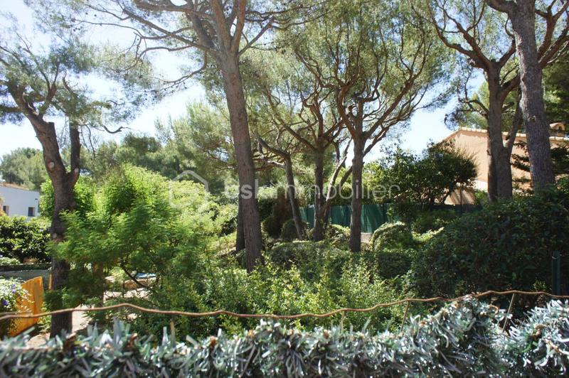 Studio - 22 m² - 1 pièce