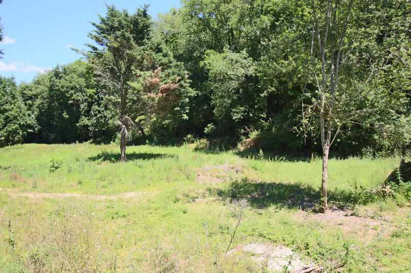 Terrain agricole - 7 451 m²