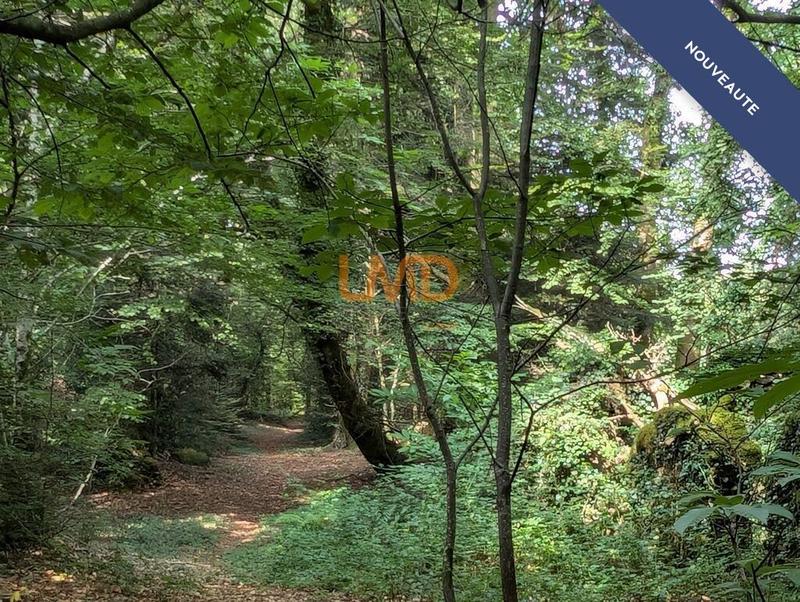 Maison en pierre - 60 m² - 2 pièces