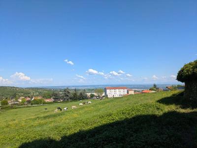 Studio - 52 m² - 1 pièce