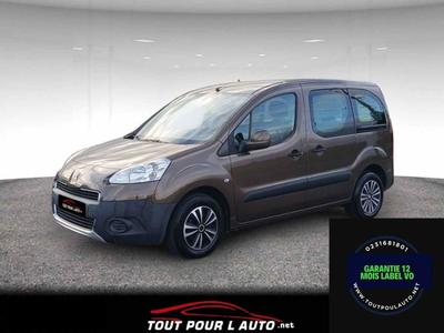Peugeot Partner Tepee 1.6 HDi active