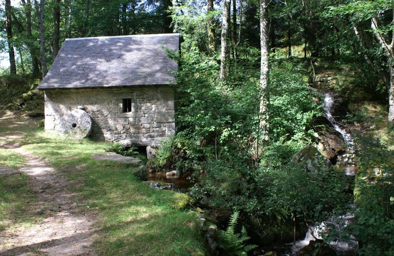 Balade et repas d'Automne