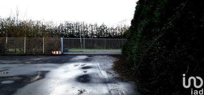 Local commercial - 894 m²