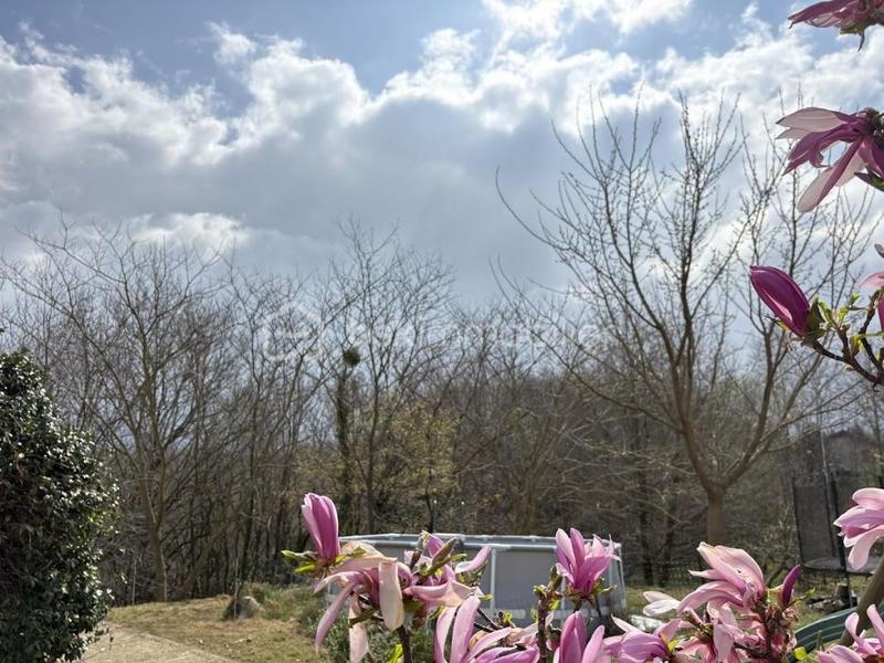 Maison - 188 m² - 6 pièces