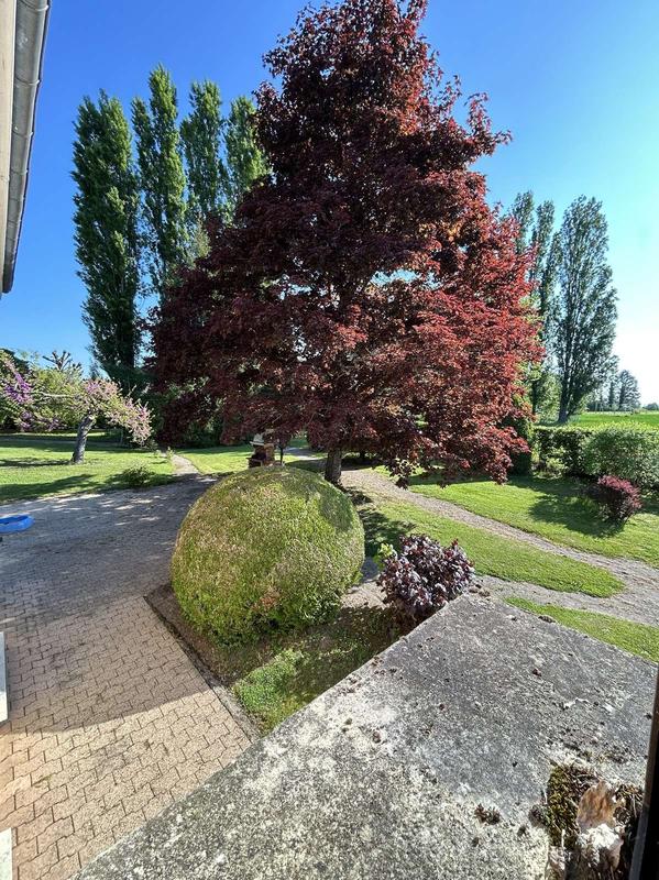 Maison traditionnelle - 130 m² - 6 pièces