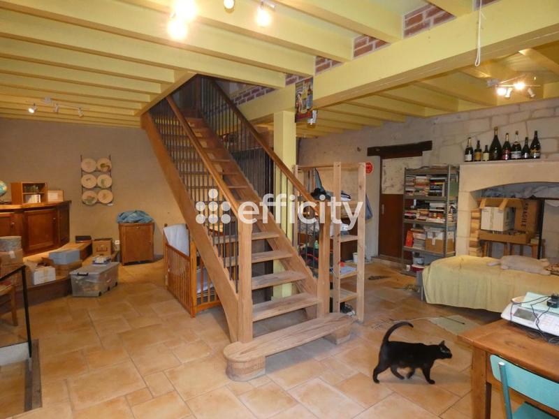 Maison - 307 m² - 10 pièces