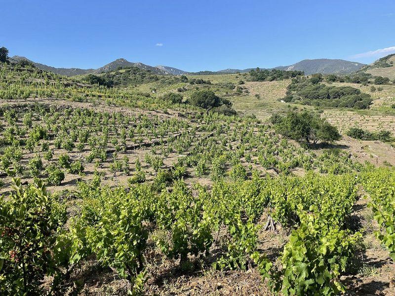 Terrain - 24 000 m²