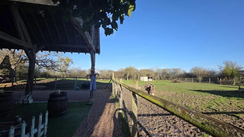 Maison - 205 m² - 6 pièces