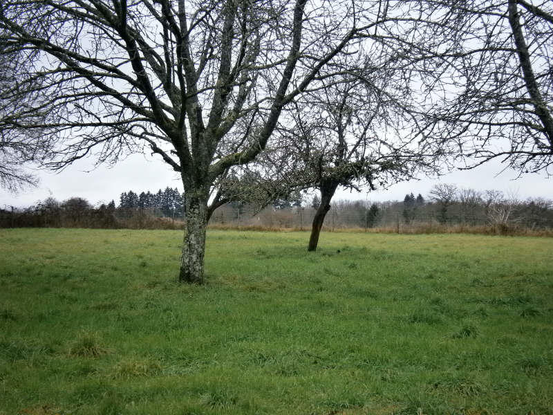 Maison - 400 m² - 10 pièces