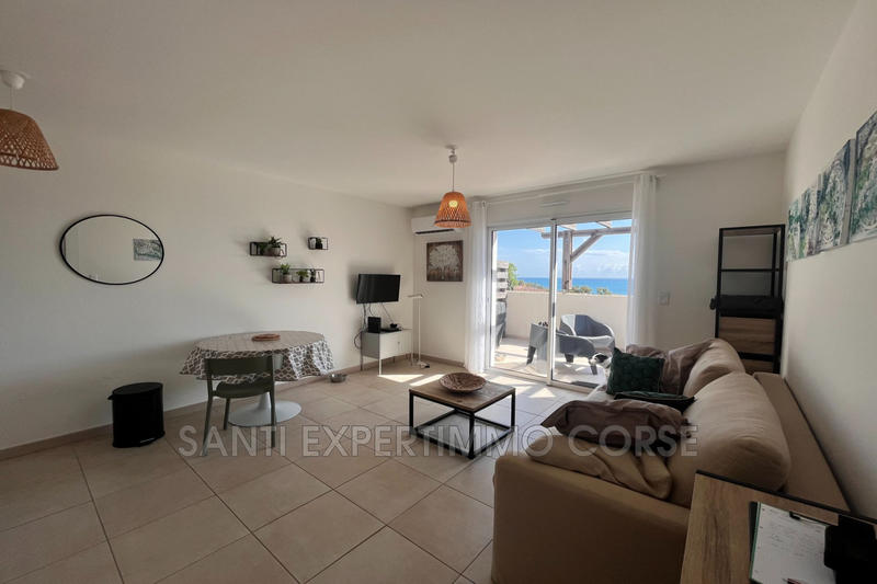 Appartement - 23 m² - 1 pièce