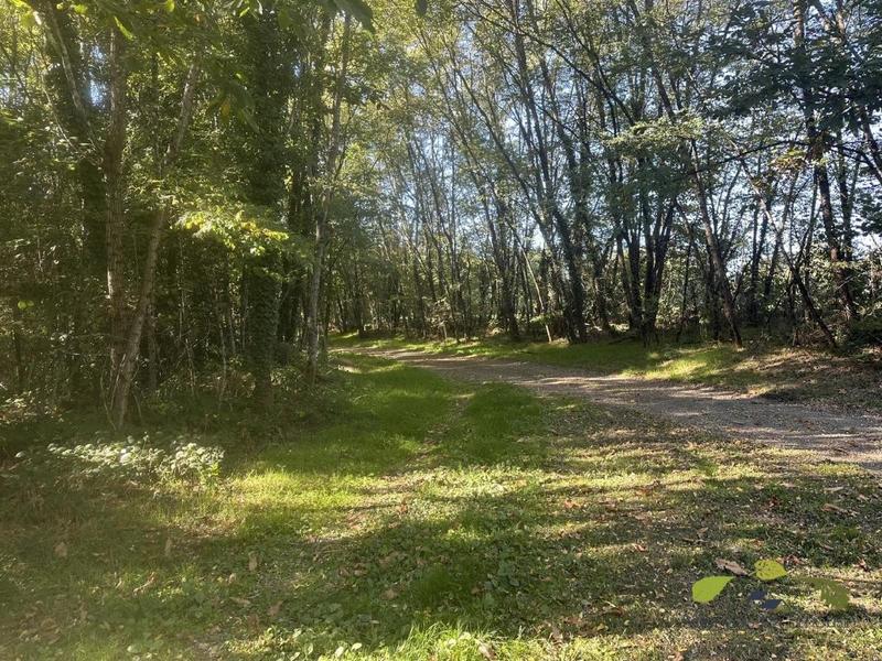 Propriété - 65 m²