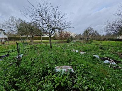 Terrain constructible - 711 m²