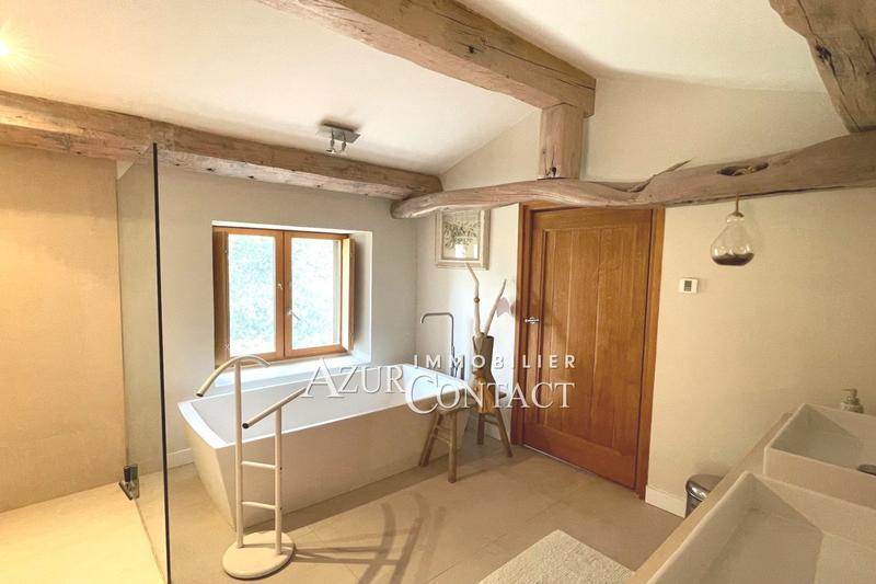 Mas - 390 m² - 6 pièces