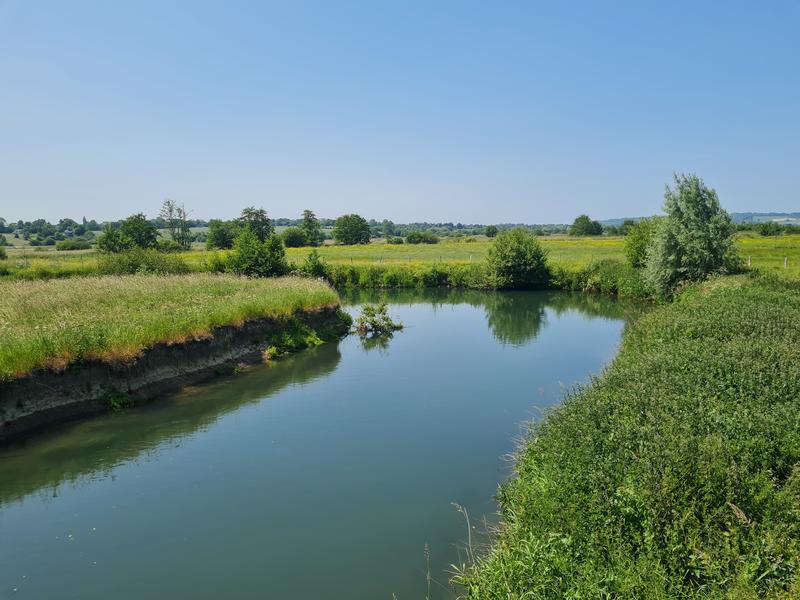 Balade à la découverte des papillons et autres petites bêtes du marais de la Touques.