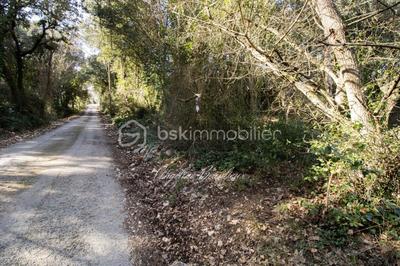 Terrain constructible - 1 881 m²