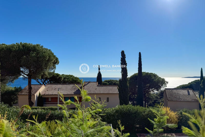 Appartement - 21 m² - 1 pièce