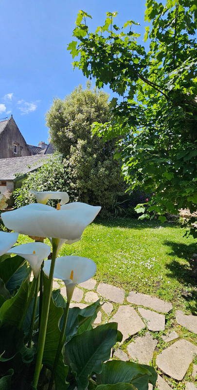 Appartement - 107 m² - 5 pièces