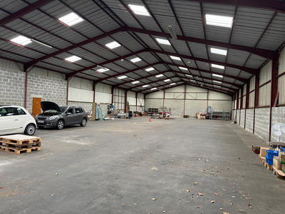 Bureau - 950 m² - 5 pièces