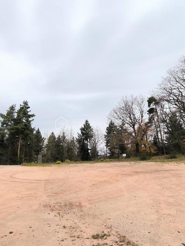 Appartement - 71 m² - 4 pièces