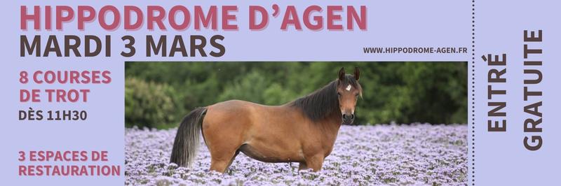 Sport &amp; spectacle équestre + restaurant panoramique