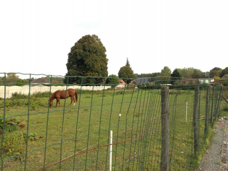 Maison - 213 m² - 10 pièces