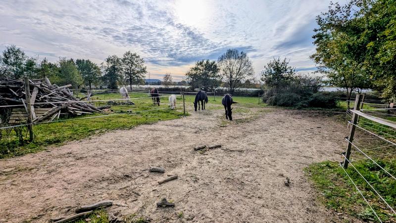 Maison - 120 m² - 7 pièces