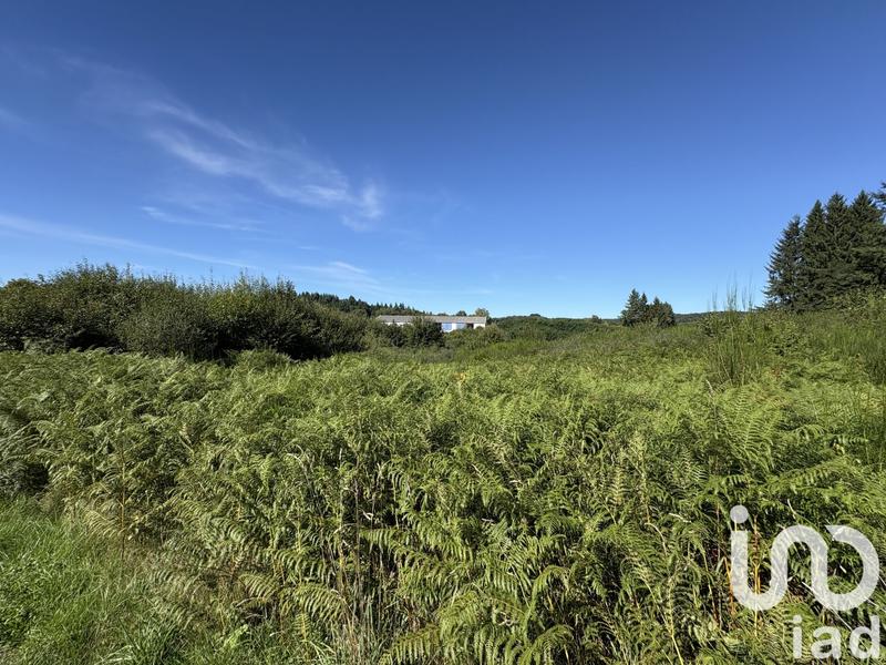 Terrain - 19 141 m²