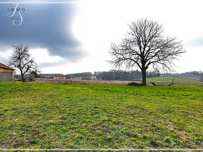 Terrain - 1 130 m²