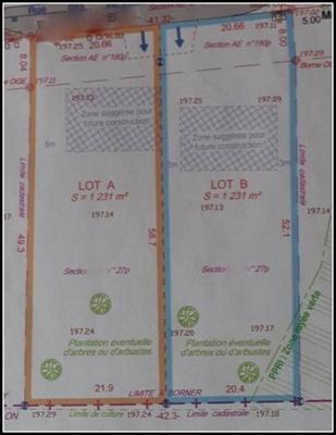 Terrain constructible - 1 231 m²
