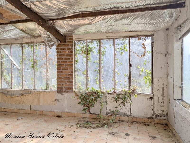 Maison en pierre - 99 m² - 4 pièces